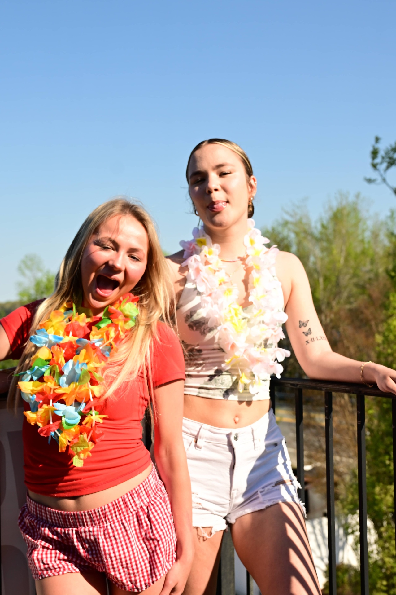 Lei-wearing friends having fun