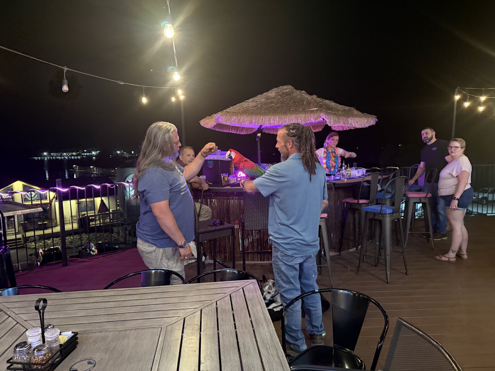 Macaw making a guest appearance at the tiki bar