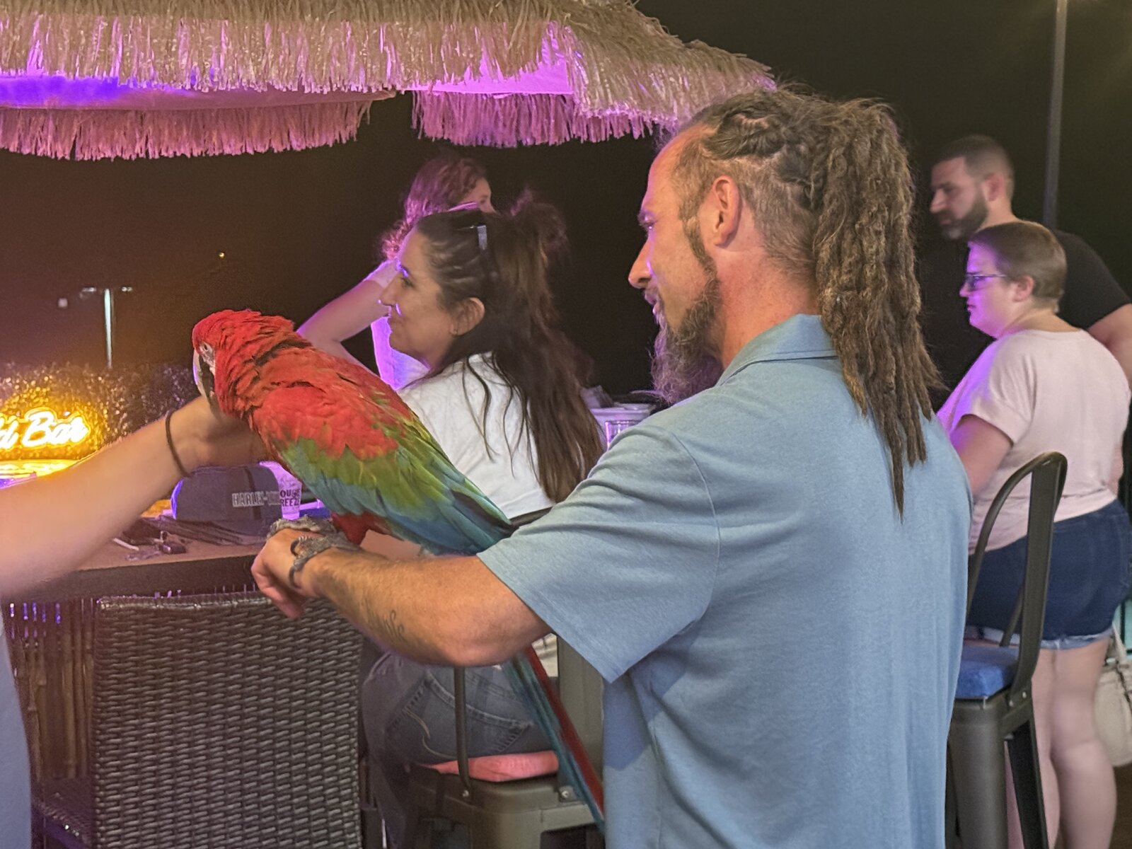 Up-close with the parrot under the tiki umbrella